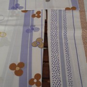 SAM_4402 (2)